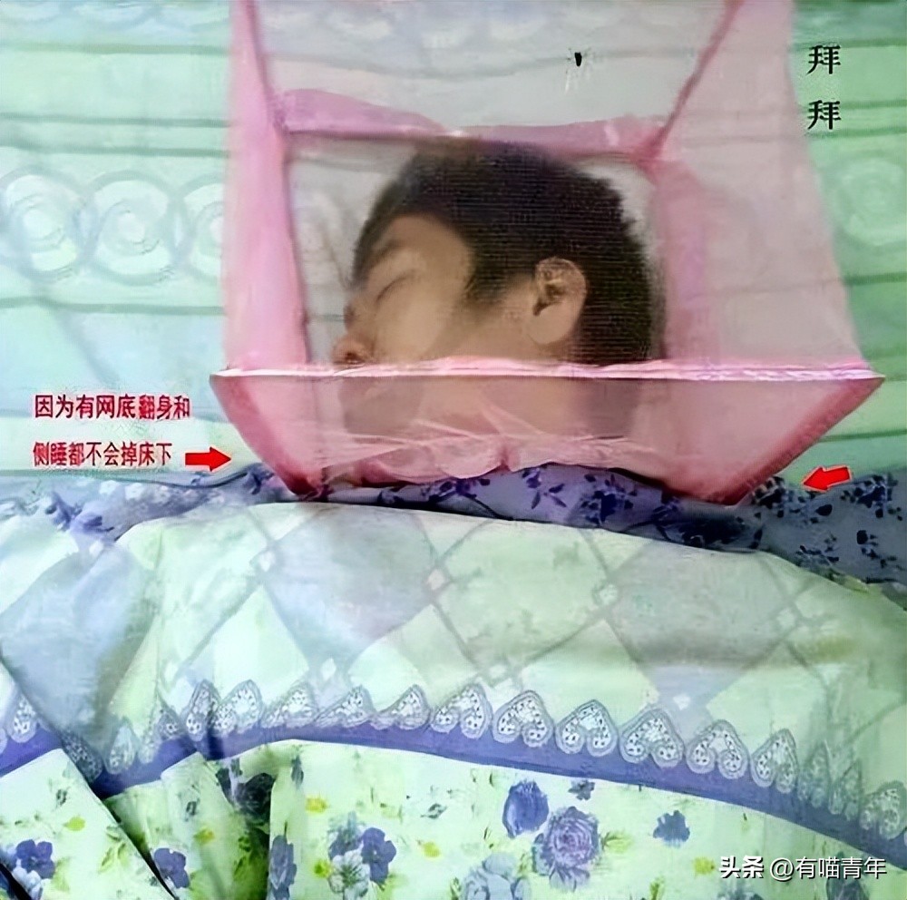 养猫有什么办法驱蚊子,养猫不可以用蚊香怎么驱蚊