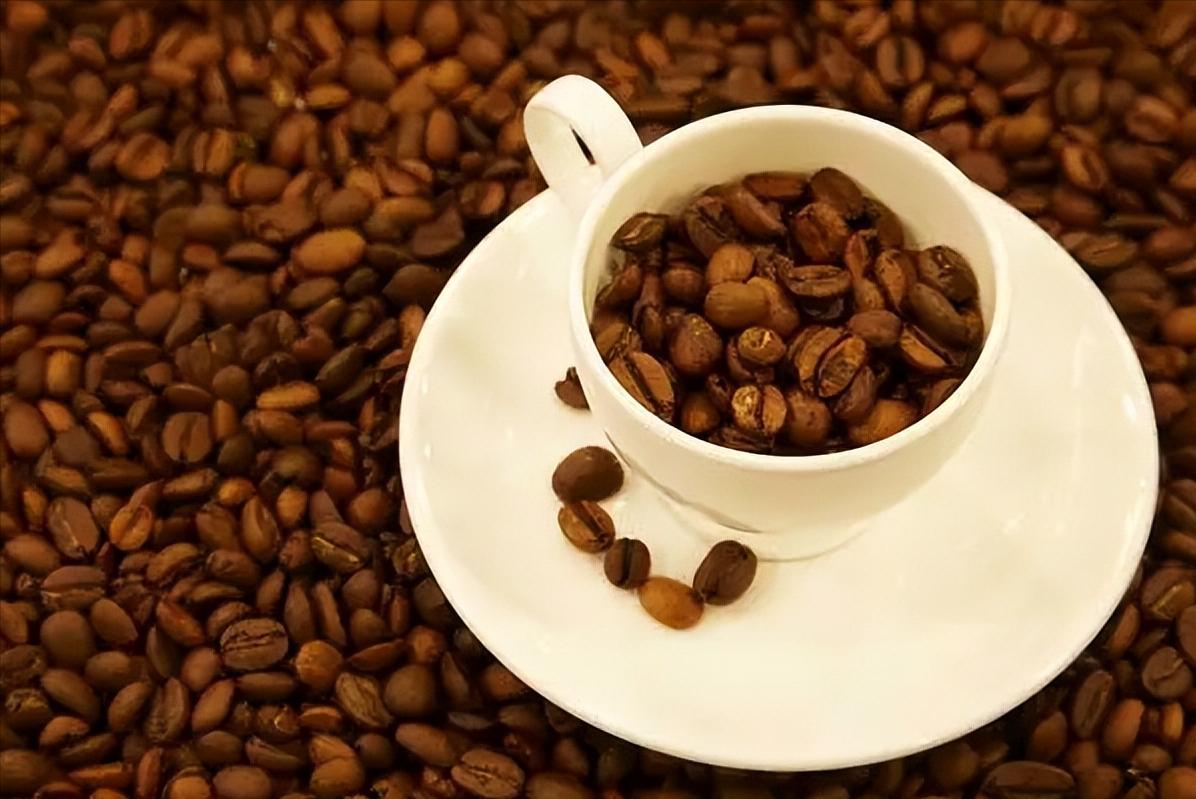 穷人世界你不懂,富人的世界你不懂