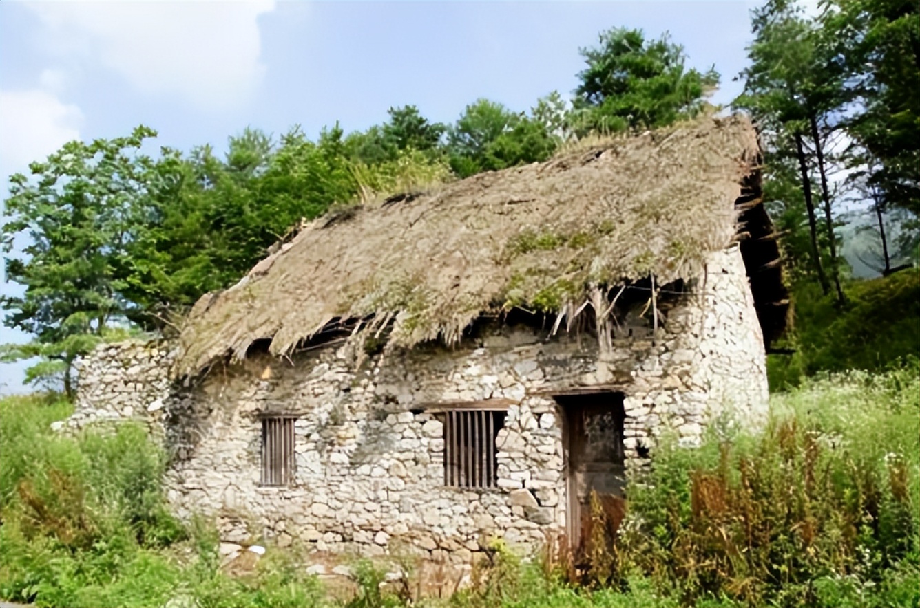 河南老农还债还不上被法院找上门,1994年一个老农欠债不还