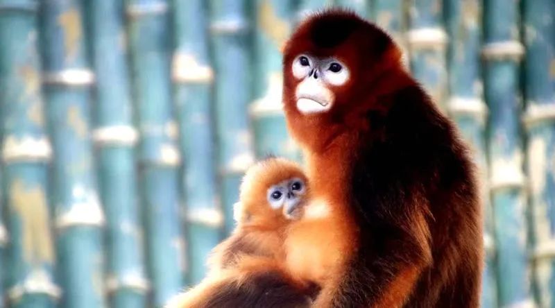 国庆来大连玩,国庆去哪里玩大连