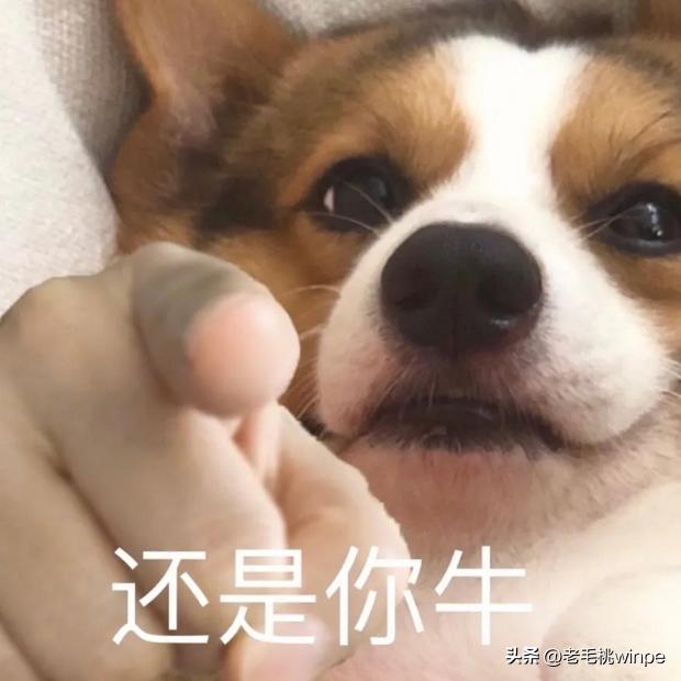 手机怎么免root刷windows安卓双系统,安卓手机如何免root安装双系统