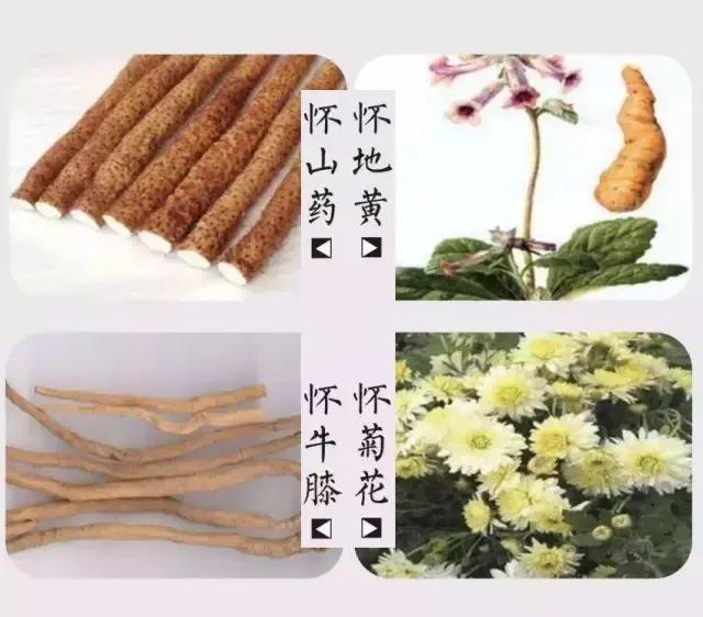 千年古县修武,千年古县修武县