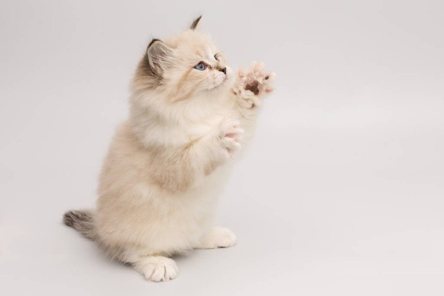 离谱电话号码,离谱的号码