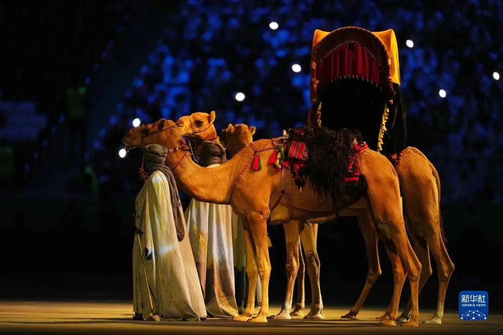 又是一届世界杯的看客/卡塔尔世界杯素描之一