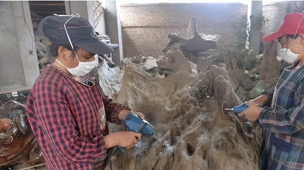 15米长东方雄狮根雕300万元拒卖,广西男子雕刻30吨楠木雄狮