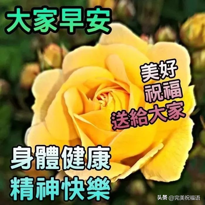 早上好图片大全最美温馨表情,新的一年早上好表情图