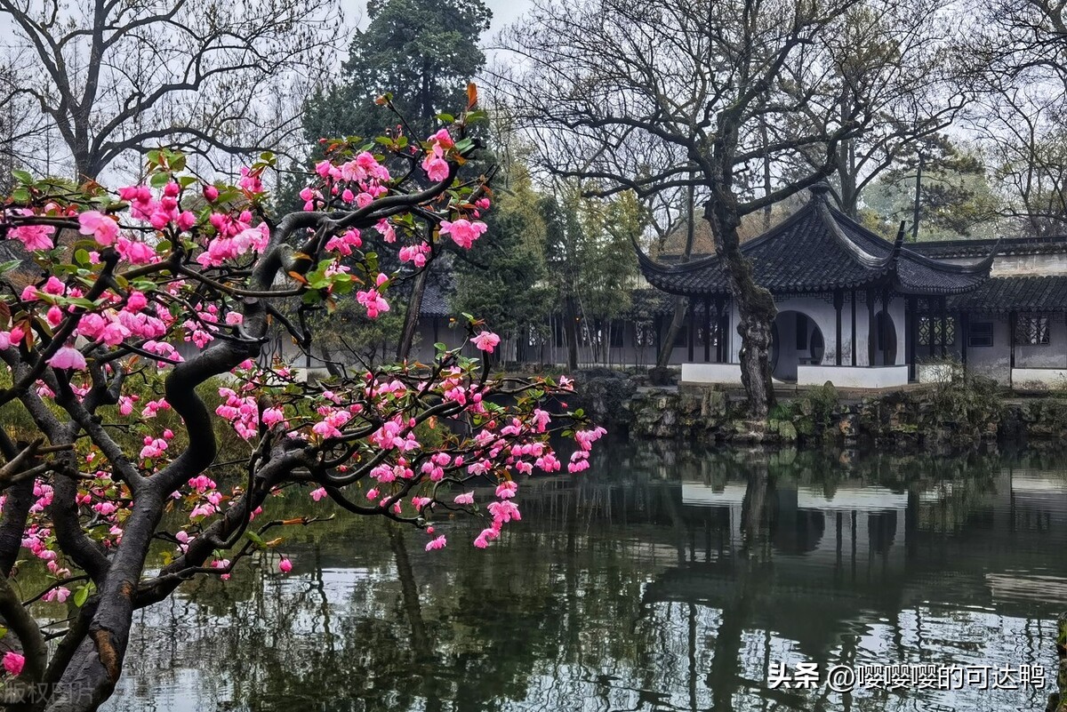 苏州春暖花开旅游攻略,苏州踏秋去哪里旅游好玩