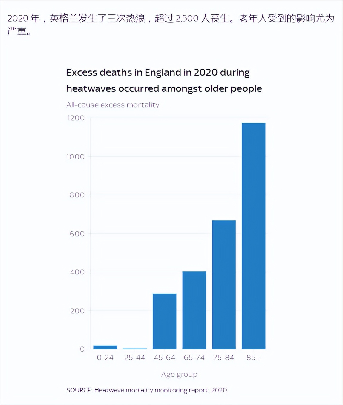 狗都不睡觉吗,狗都不在宿舍睡午觉