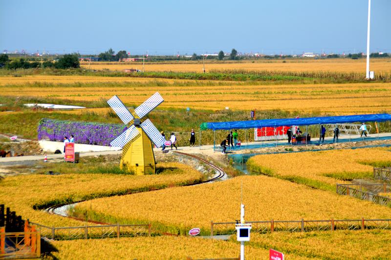 辽宁盘锦在哪个地方,去盘锦旅游哪里好