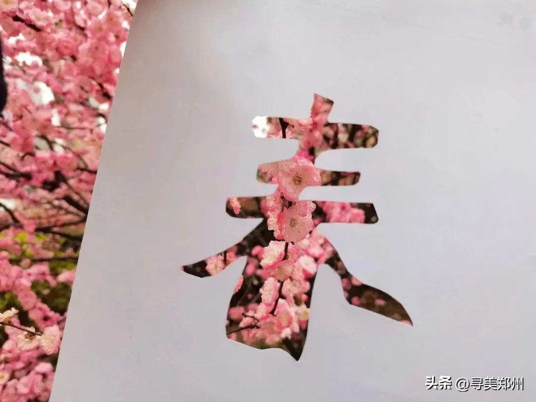 河南科技大学春景,河南科技职业大学校园春景