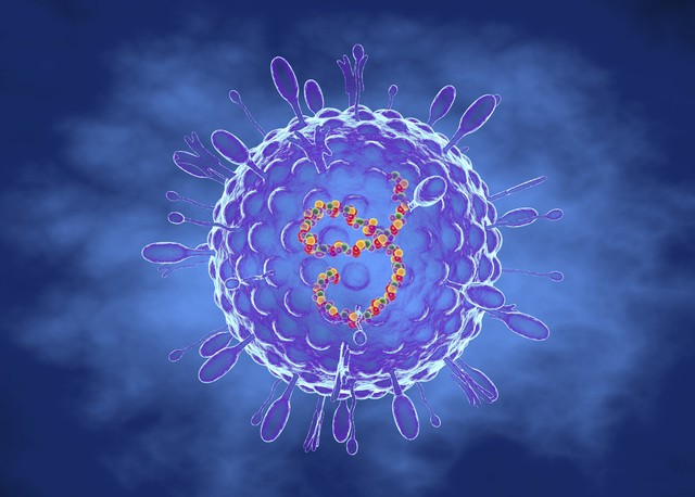 亚马逊森林有瘴气吗,亚马逊雨林失去地球之肺