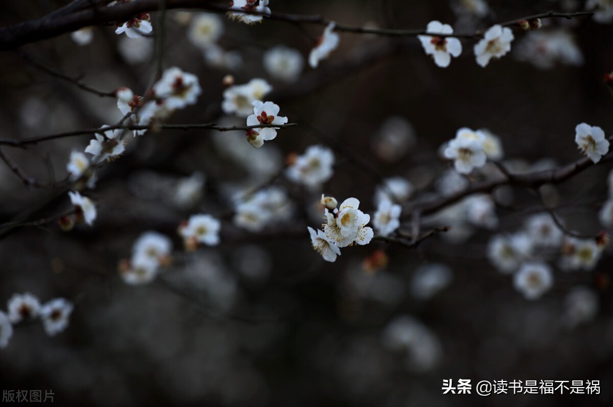 国学史记白话文讲解81个视频,国学经典讲解第七八讲