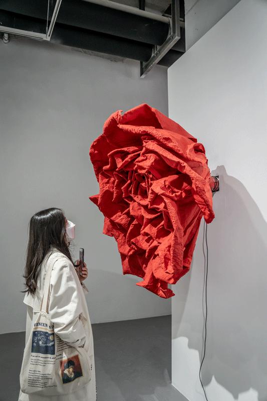 武商梦时代来菜,武商梦时代破局