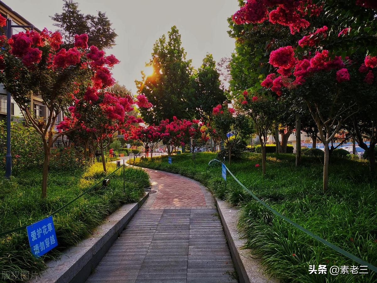 女作家去做保姆最新一期内容,女作家去做保姆520