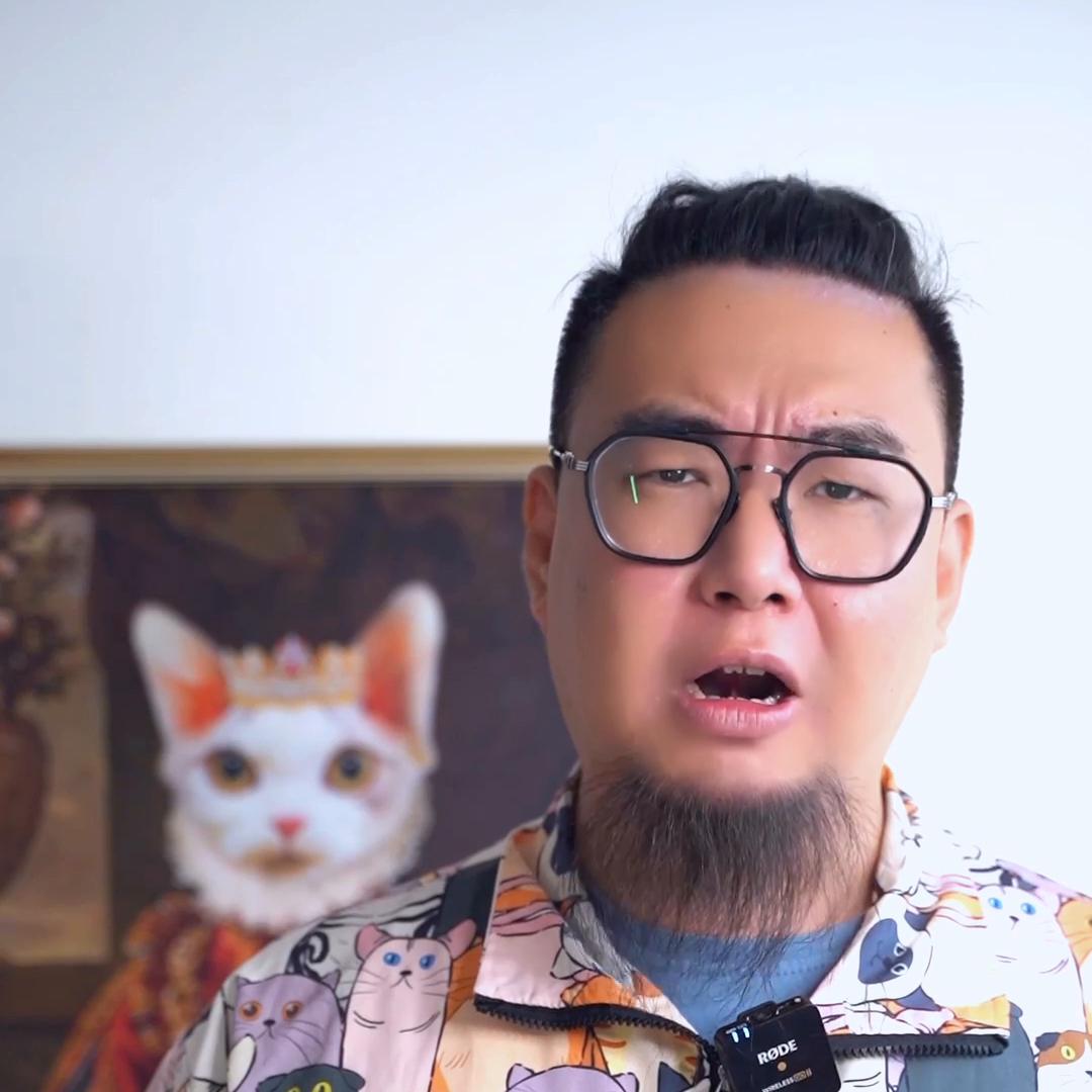 买猫粮,什么猫粮又便宜猫猫吃了又放心