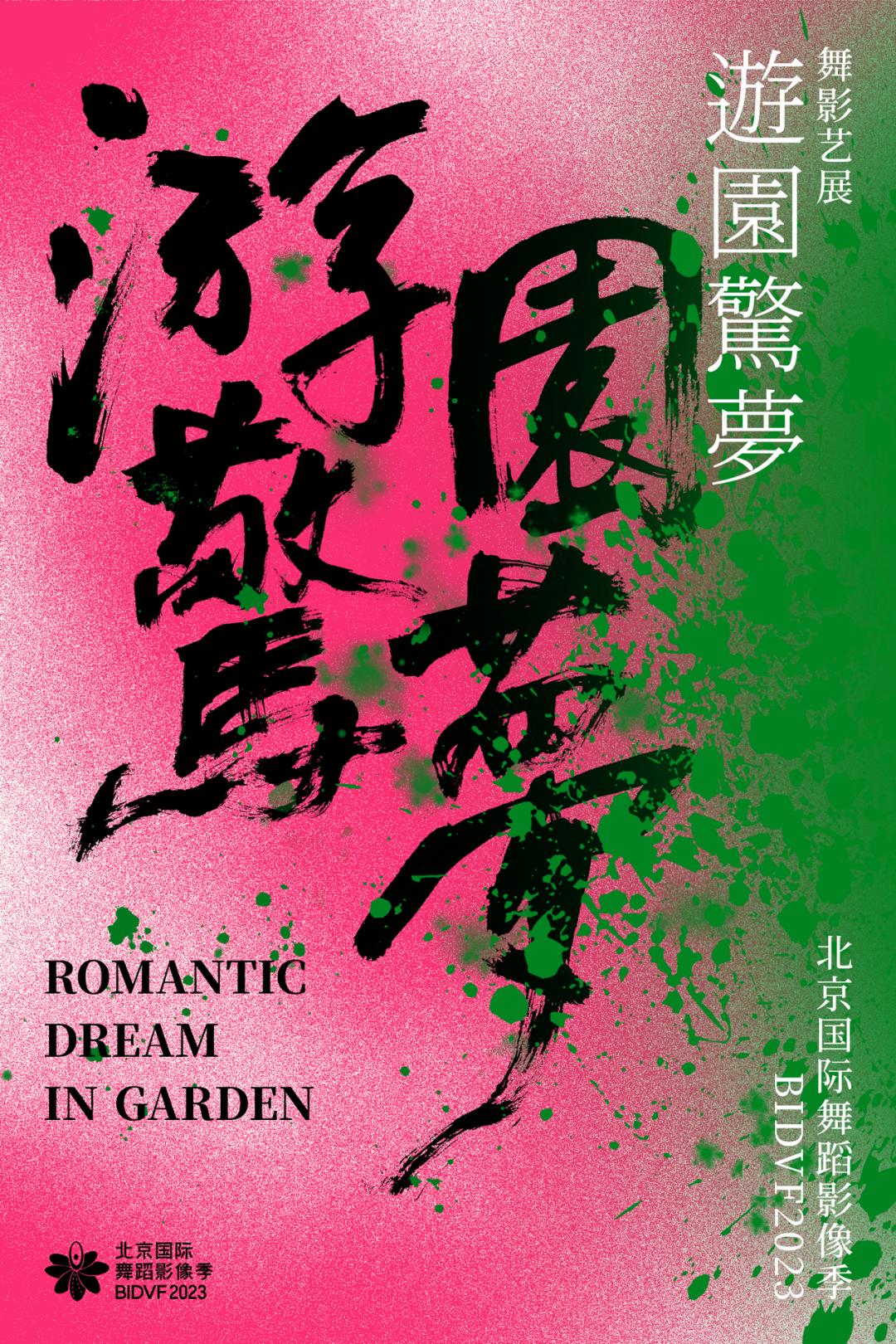 北京国际舞蹈影像艺术季组委会,第二届中国舞蹈影像展