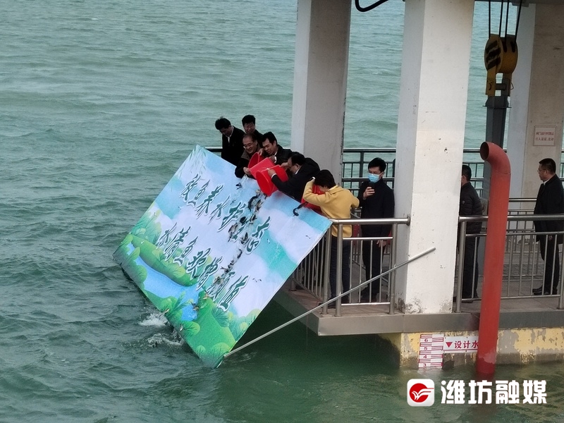 5亿尾鱼苗入水,25万尾鱼苗放黄河
