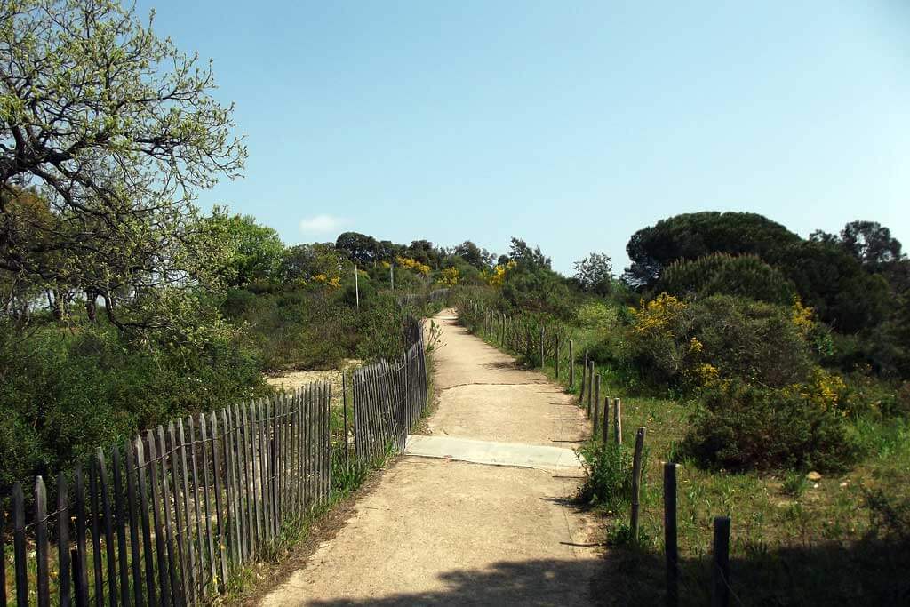 戛纳小城,戛纳电影节出现美丽的风景线