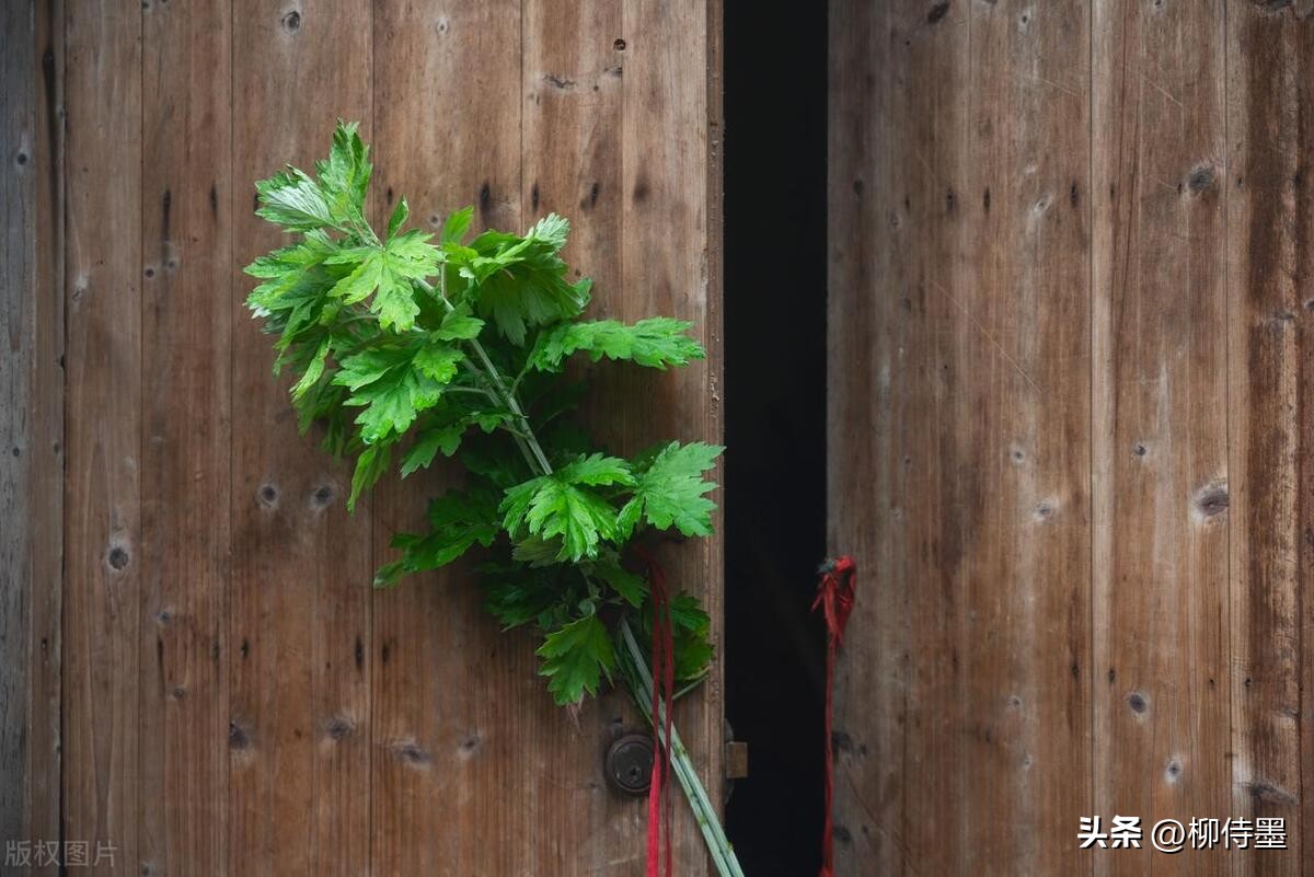 端午粽子拍照自拍姿势,端午节拍摄粽子图片怎么拍