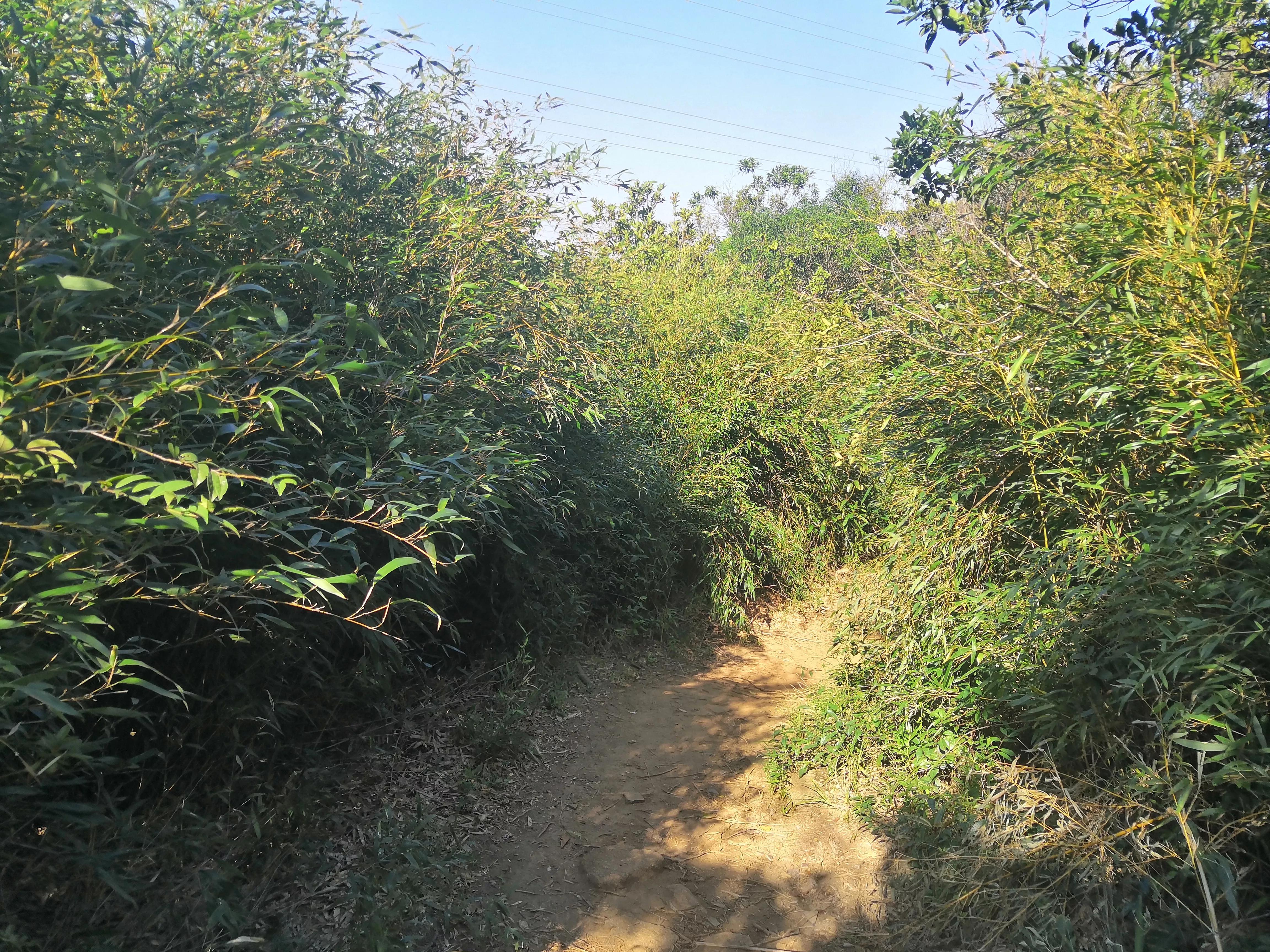 打鼓嶂千岛湖路线,深圳千岛湖打鼓嶂