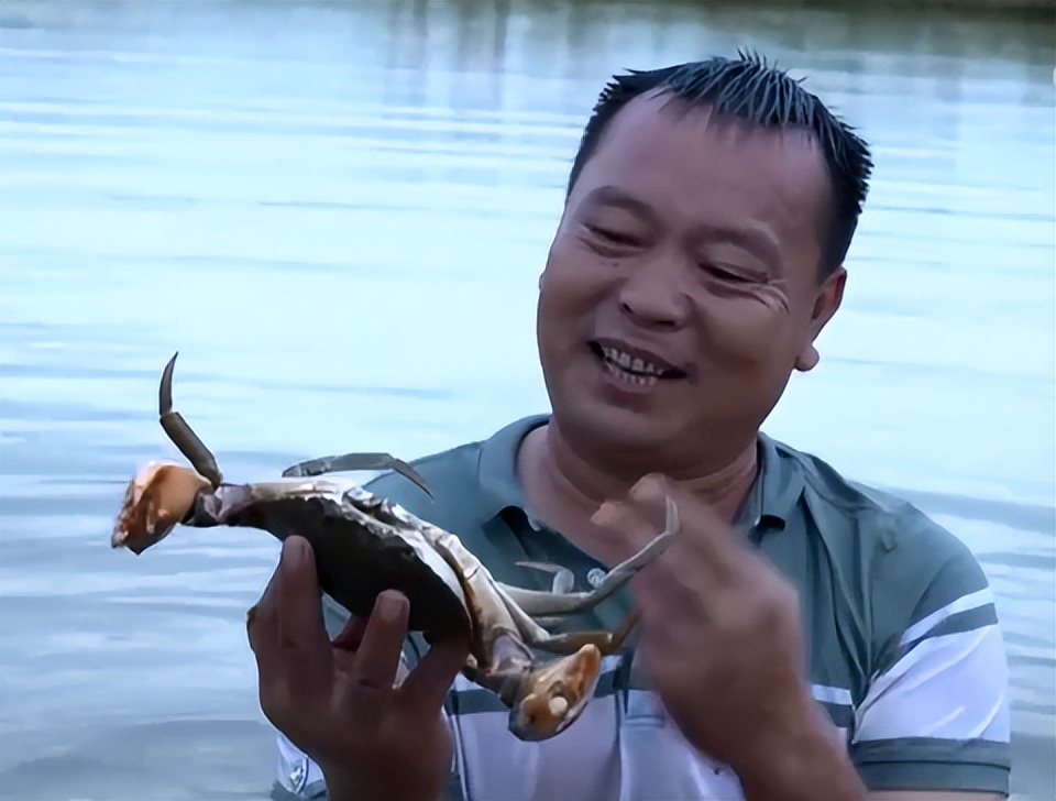最大黄油蟹养殖户,男子养螃蟹