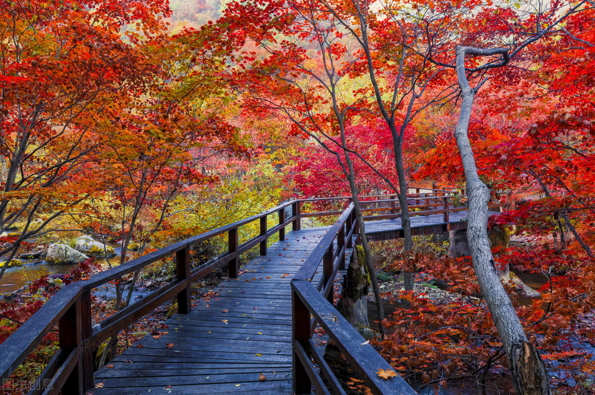 遇到困难时你会怎么办作文,遇到困难你会找谁倾诉