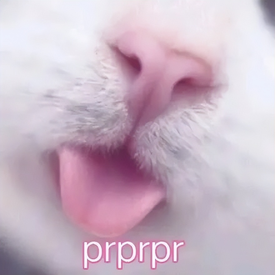 鎴戝氨鏄コ鐜嬭嚜淇℃湁鍏夎姃,濮愬氨鏄コ鐜嬭嚜淇″張寮犵媯