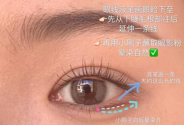 下眼睑画法初学者练习,各种眼型的下眼睑画法
