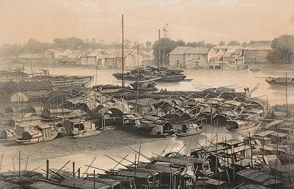 英国为什么不产茶,英国为什么不自己种茶叶