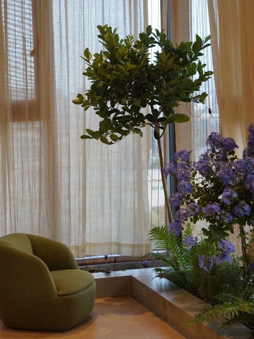 上海一33岁太太，在封闭阳台上砌了几块砖，花坛、鱼池全都有了