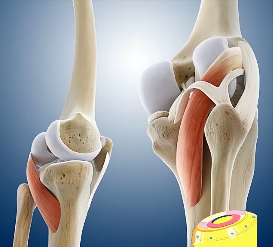 30多岁女性膝盖疼痛可能有三种病,年轻女性膝盖疼可以治疗好吗