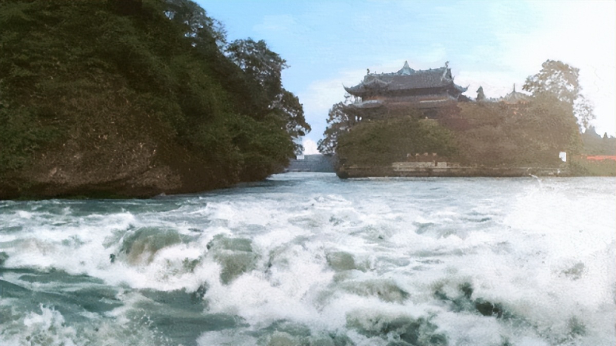 水井坊1号菌群,水井坊一号