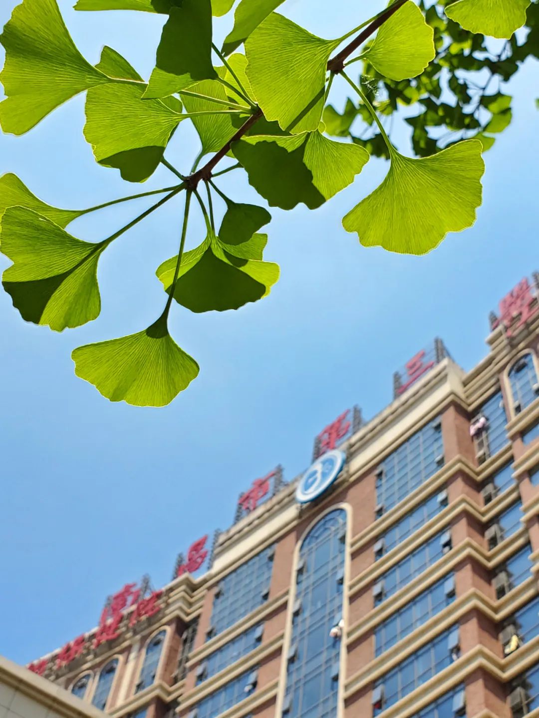 南昌市第三医院朝阳院区成立时间,南昌第三医院朝阳院区是公立医院