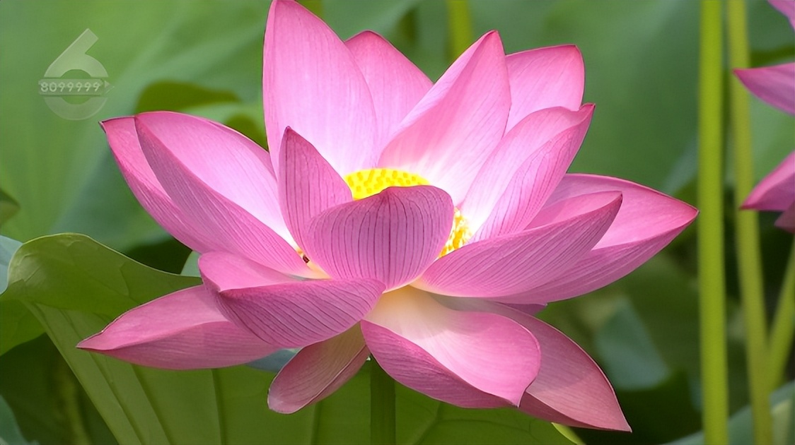 云南昆明热门的夏天避暑活动合集,昆明热门的夏天避暑位置