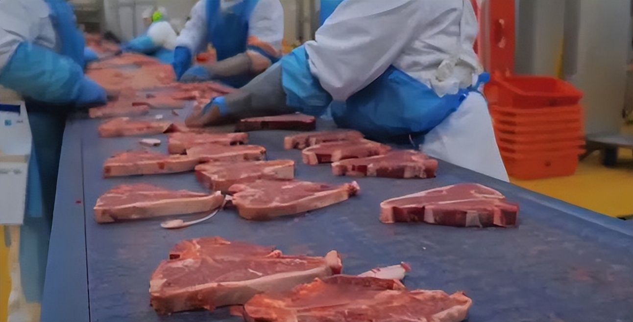 今年为什么大量进口俄罗斯牛肉,白俄罗斯进口牛肉最新价格