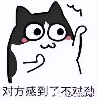 王子腾人物评价,王子腾是男的还是女的