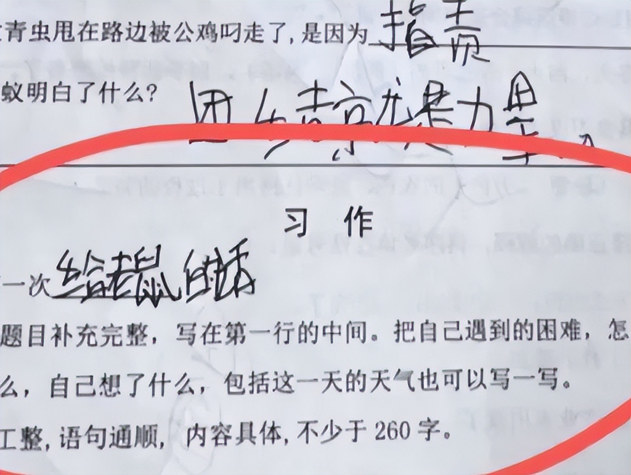 小学生作文被老师批评,小学生打架被老师批评教育的作文