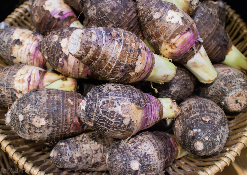 野外像芋头一样有毒的植物叫什么,芋头有什么毒性