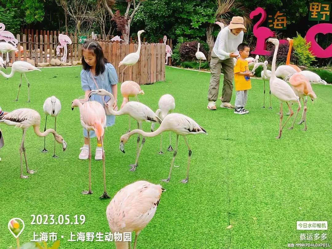 中国最大的野生动物园是哪个城市,中国最大野生动物园