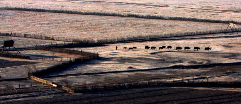 邛崃平乐茶马古道,茶马古道的起始地