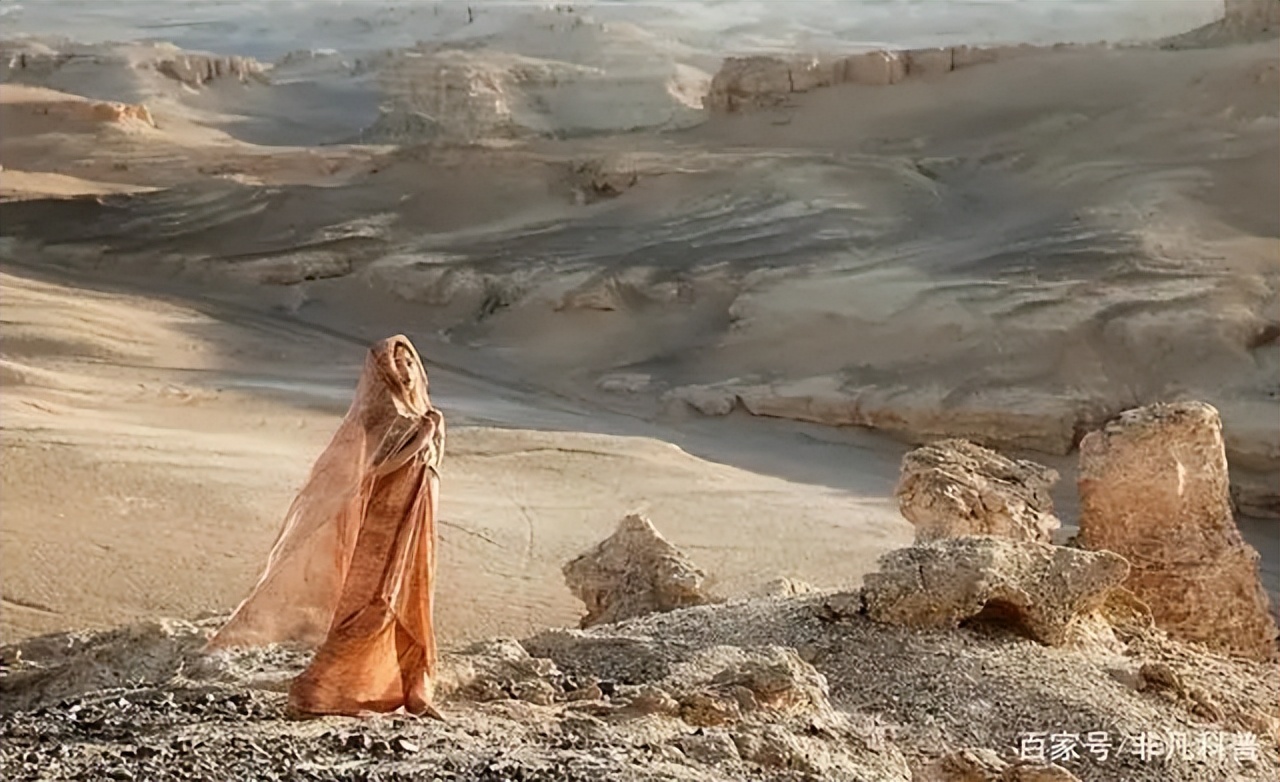 妤煎叞濮戝鍙ゅ案鍘熷浘,妤煎叞鍩庡畬鏁寸増