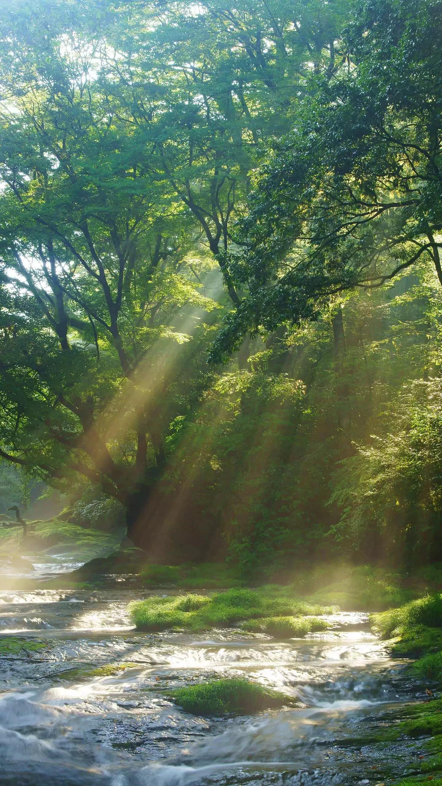 开心英语五年级下册unit1,开心英语hobbies教学设计