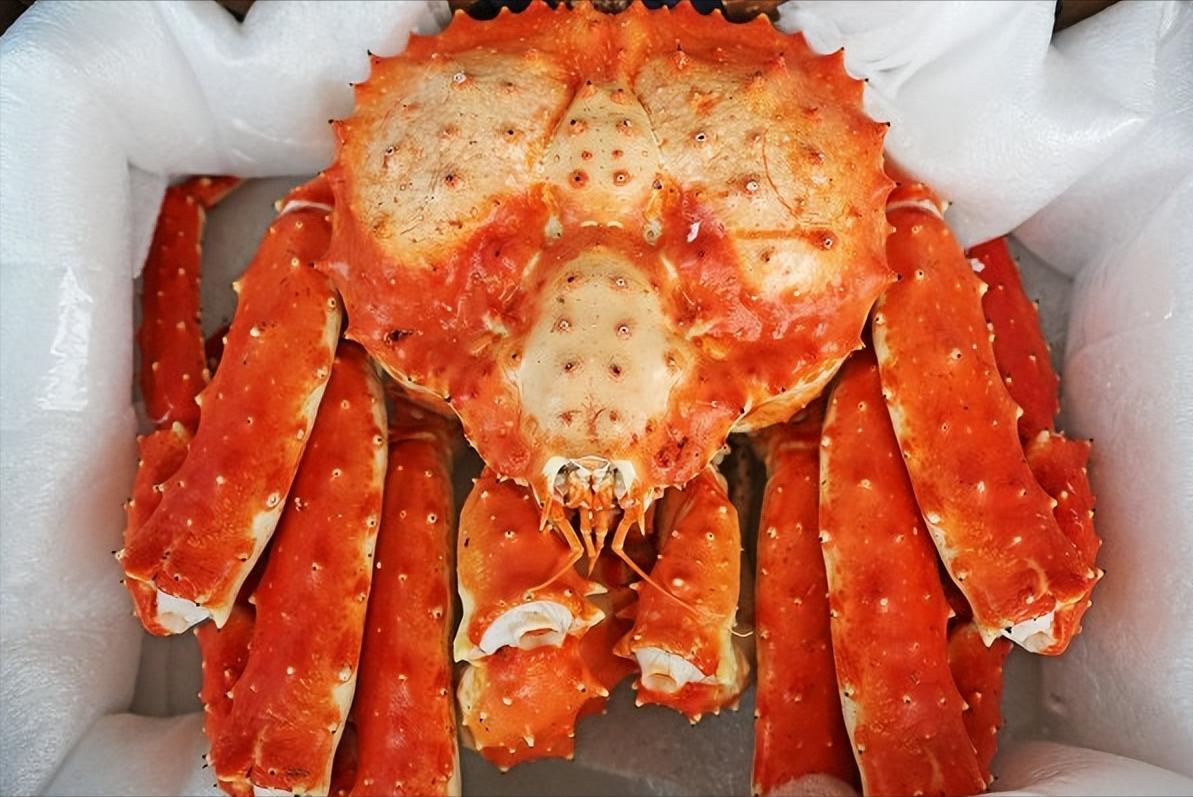 螃蟹品种怎么区分,螃蟹如何挑选图解