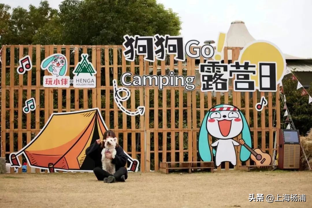 最值得去的露营地,值得去的露营地