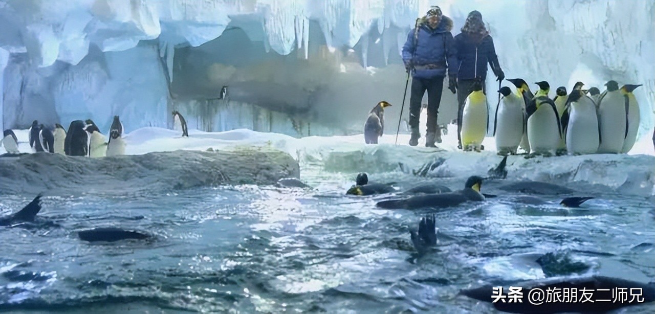 去珠海长隆海洋王国攻略三天两夜,珠海长隆海洋王国3天旅游攻略