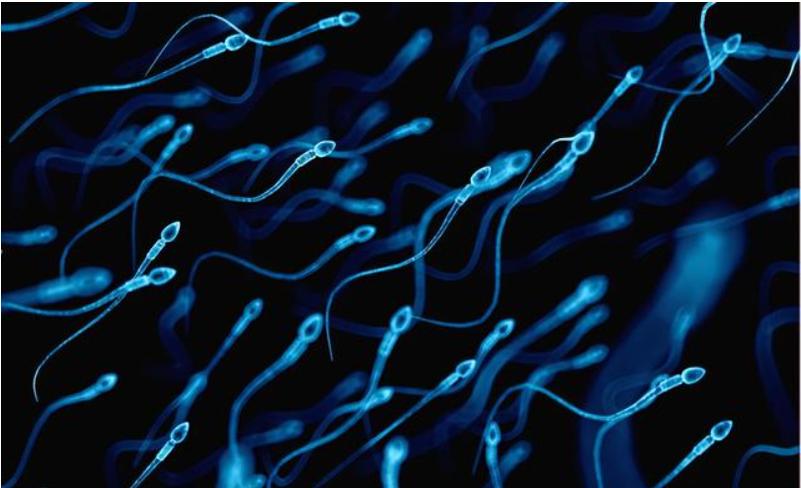 男性长期没“排精”，身体或许会出现这几种变化，早知早受益！