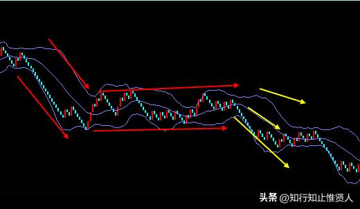 学到极致是什么意思,学到极致便是沧海一粟