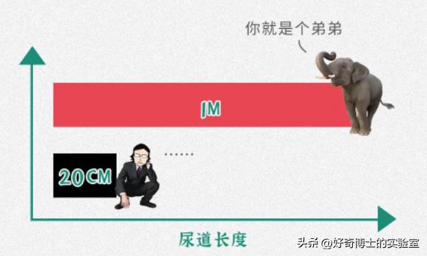 男性小便时间超过21秒,男生小便一般持续几秒