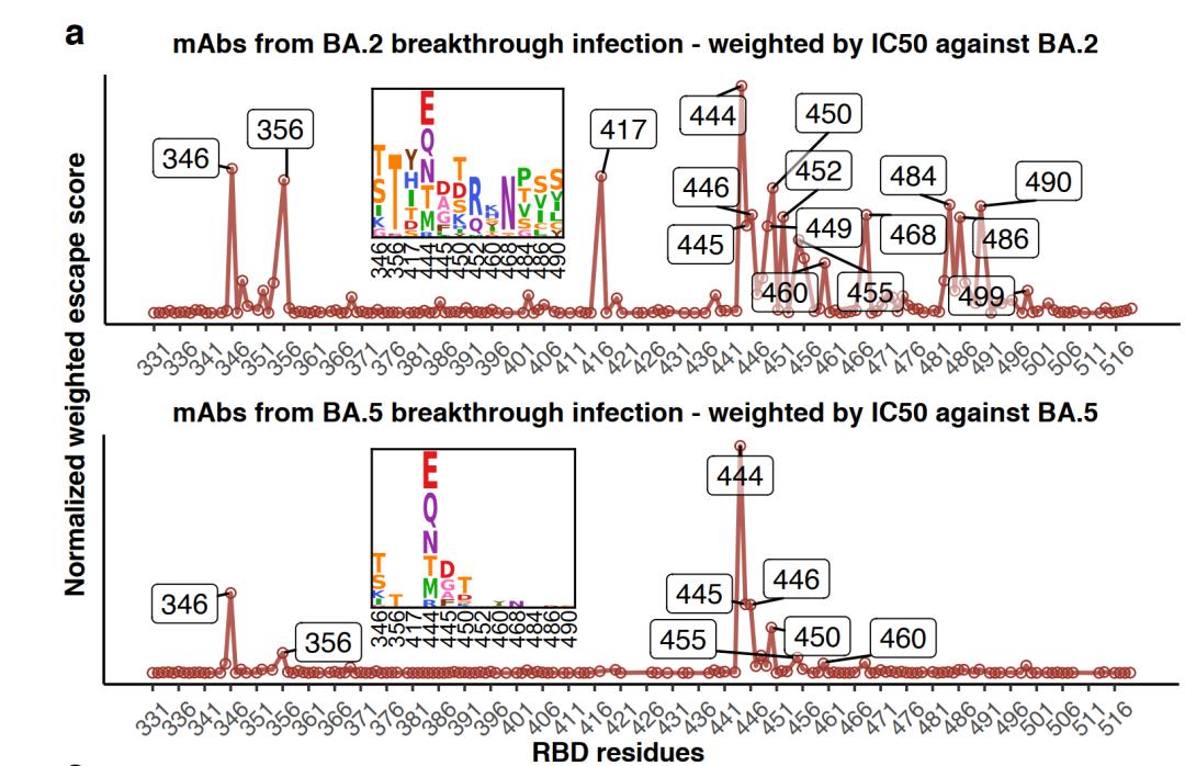 从流感病毒看新冠病毒的未来,流感及新冠病毒科普