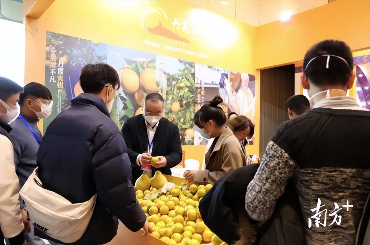 广东柑橘销售渠道,柑橘销售省份市场